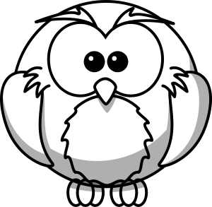 otxiowl